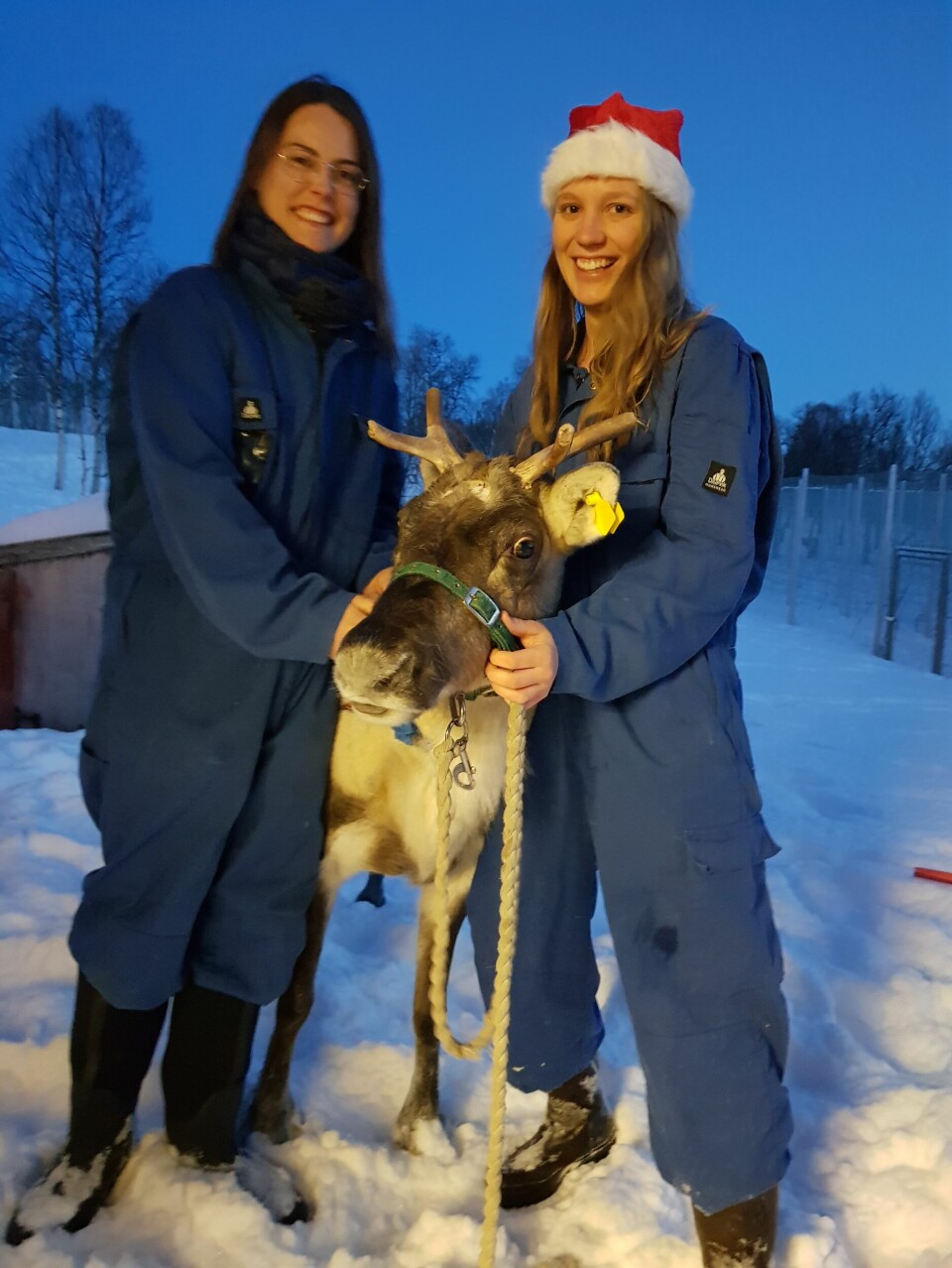 From left: Melanie Furrer and Sara Meier with one of the reindeer.