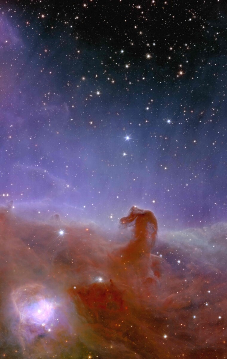 Slik ser hestehode-tåken ut gjennom Euclids linse. Den er rundt 1375 lysår unna, og er skyer av støv og gass.