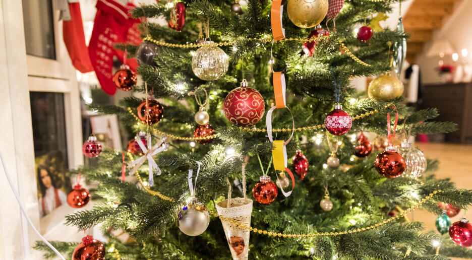 Forsker advarer: Ikke brenn juletreet i peisen