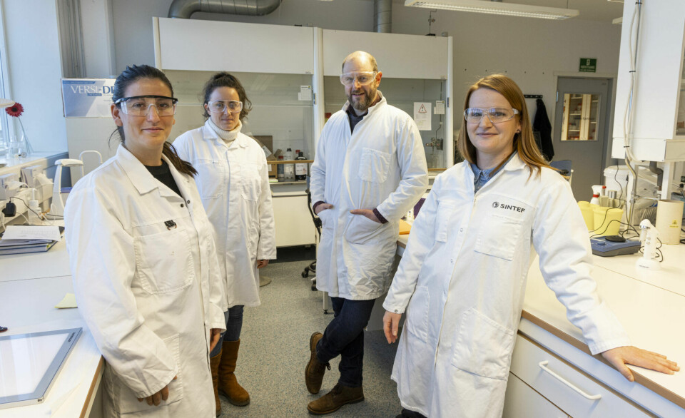 The research team behind the project. From left: Stefania Piarulli, Amaia Igartua, Andy Booth, and Lisbet Sørensen.