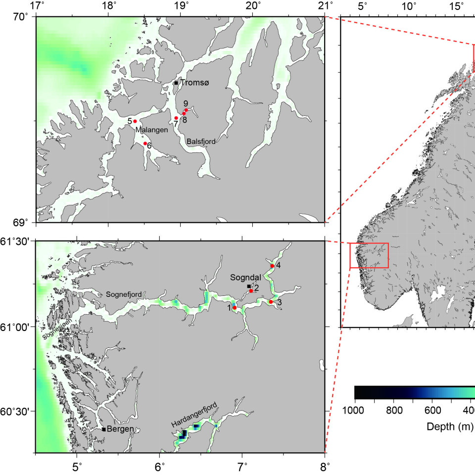 A. setosa ble observert i de norske fjordene (Sognefjord og Hardangerfjord-komplekser i sør, samt i Malangen og Balsfjord i nord) under planktonundersøkelsen 1982–83.
Spesielt i Sognefjordkomplekset var A. setosa den dominerende arten.