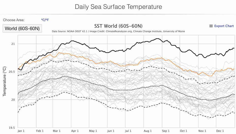 Det var rekordvarmt i havoverflaten gjennom store deler av 2023 (tykk svart kurve). (Bilde: Climate Reanalyzer / Univ. of Maine).