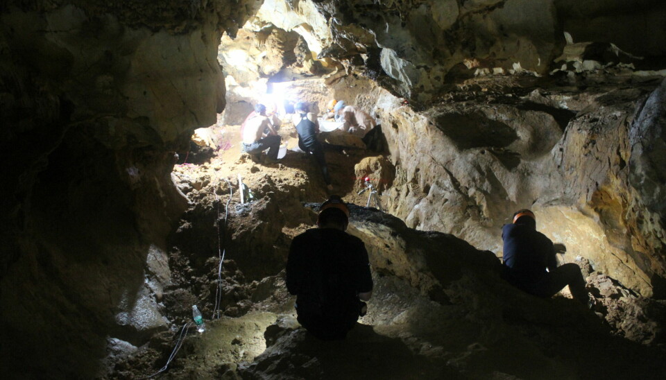 Forskere har funnet kjempeape-restene i forskjellige grotter sør i Kina.