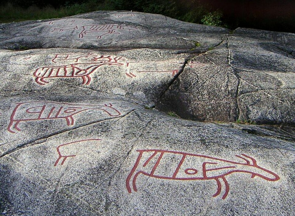 Disse helleristningene av elg ved elva Etna i Oppland kan være mellom 8.000 og 6.000 år gamle.