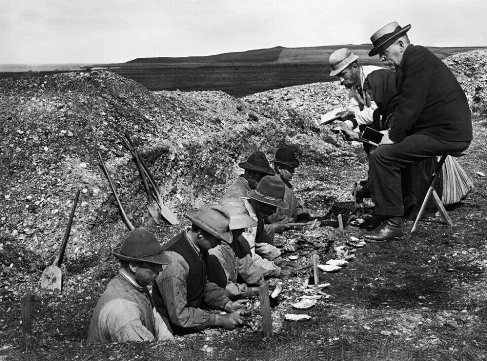 Arkeologer fra Nationalmuseet under utgravningen av Ertebølle-haugen i 1895.