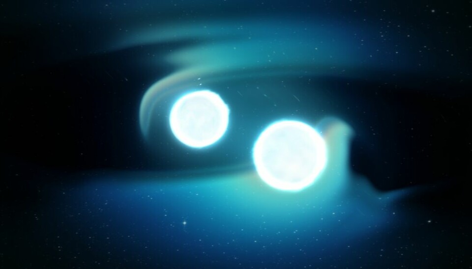 Slik ser en kunstner for seg at de to nøytronstjernene så ut da de var på vei til å kolldiere med hverandre.