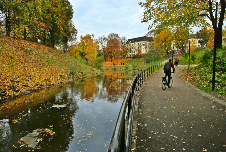Barn som bor i byen kan også oppleve mye natur langs skoleveien. Bildet er fra Akerselva i Oslo.