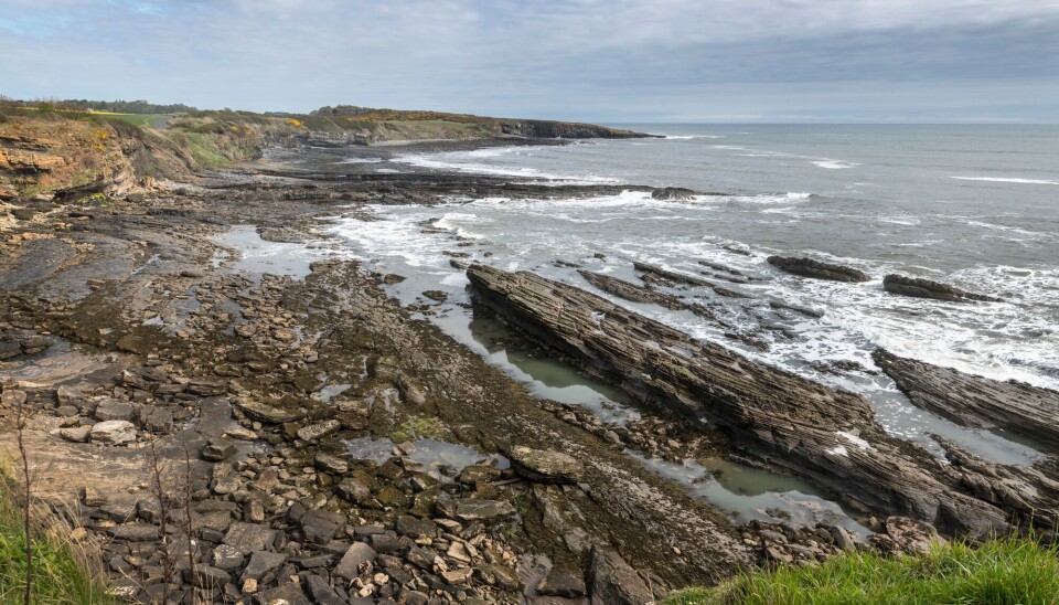 Howick ligger i Northumberland, nord i England.