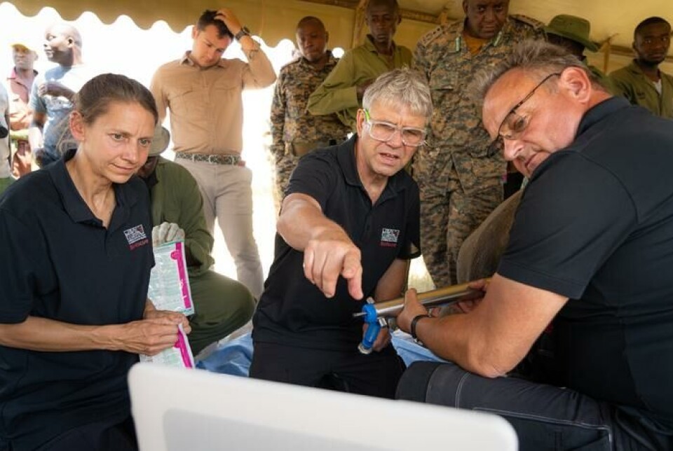 Bildet ble tatt under embryooverføringen 24. september 2023 i Kenya.
