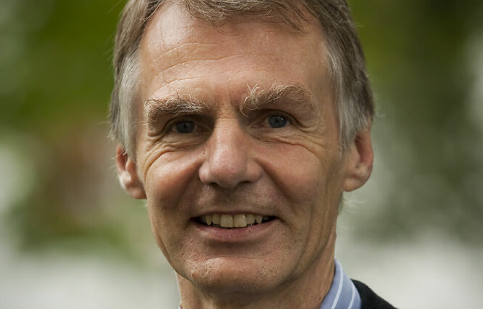 Geir Ulfstein er professor emeritus ved Institutt for offentlig rett ved Universitetet i Oslo