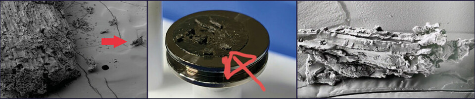 Forskerne tok ut flisbiten som pilen peker på i bildet til venstre. I midten: Trebiten klargjort for elektronmikroskopi – med avbildning til høyre.