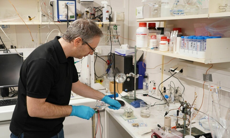 Athanasios Chatzitakis demonstrerer prosesser i fotosyntesen på lab.
