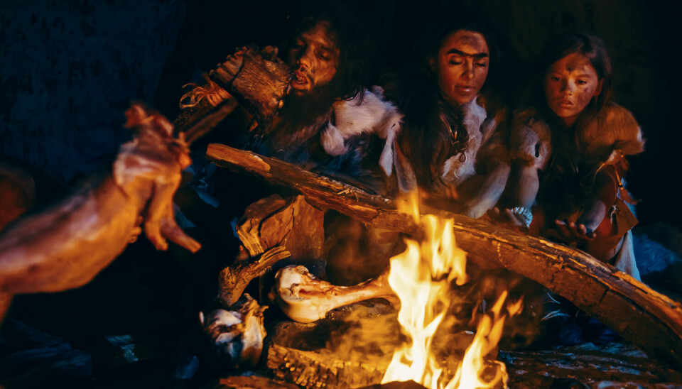 Folk i steinalderen blir ofte framstilt med et kjøttmåltid på bålet. Det stemmer ikke.