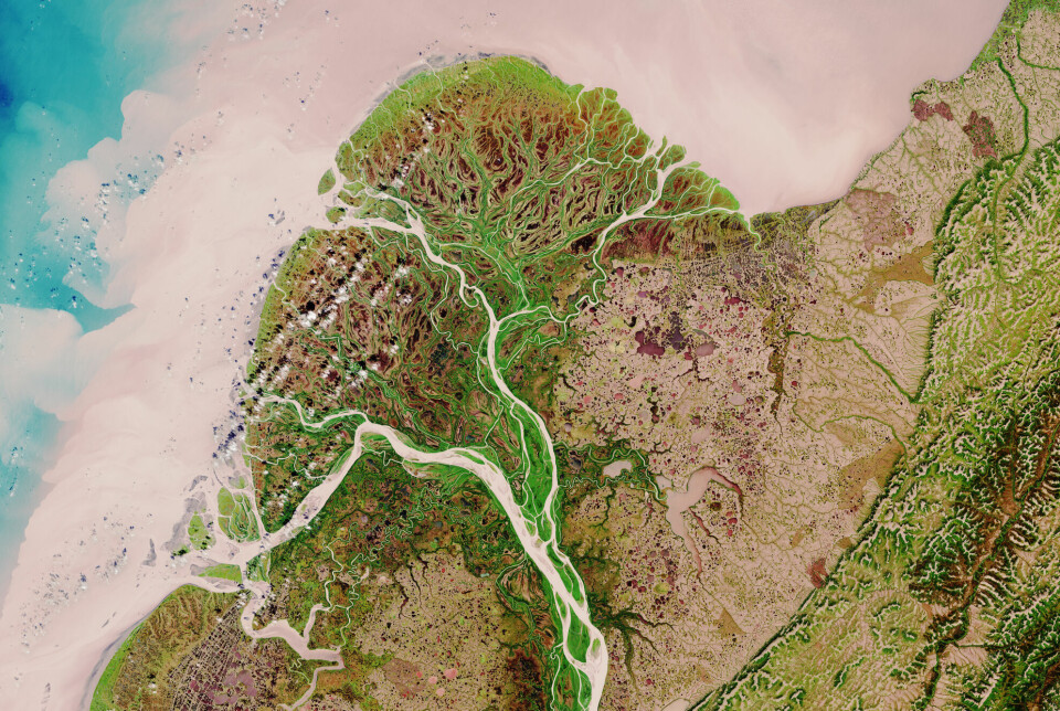 Et delta som er dannet av Yukon-elven i Alaska.
