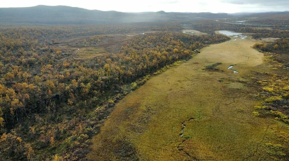 Forskerne har gravd grøfter ved Juŋkorajeaggi, to km nord for Masi/Máze. Vegen E45, som går fra Alta til Kautokeino, skimtes i bakgrunnen. Aldersdatering av deformert torv viser at forkastningen og det store jordskjelvet er yngre enn 500 år.