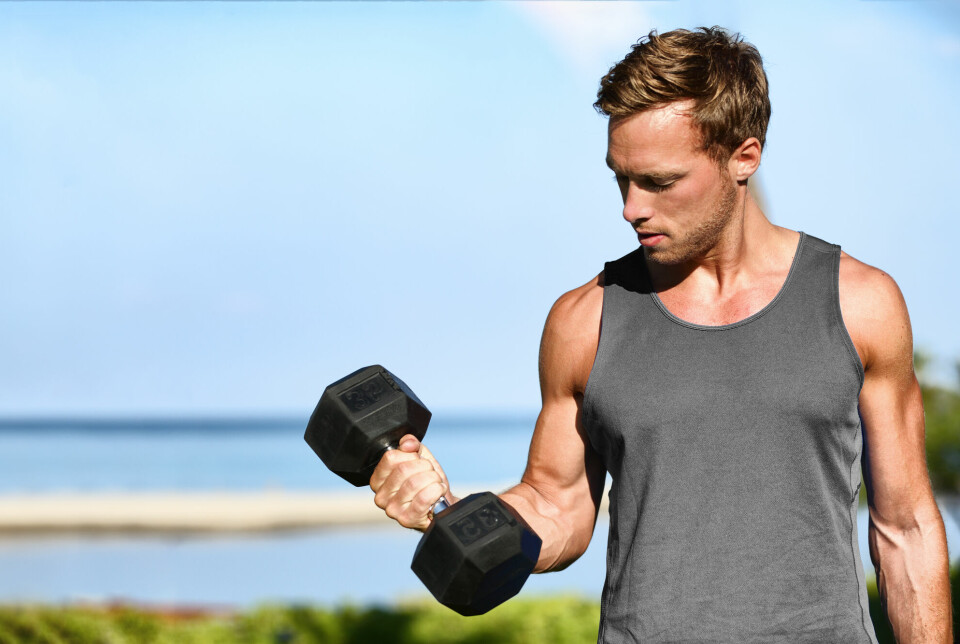 Studien slår hull på flere myter om proteinopptak for å bygge muskler.