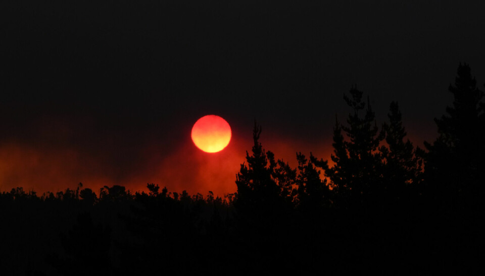 Kveldssolen skimtes gjennom røyk fra skogbranner i Vina del Mar i Chile. Klimaendringene antas å bidra til økt skogbrannfare både i Chile og mange andre land rundt om i verden.