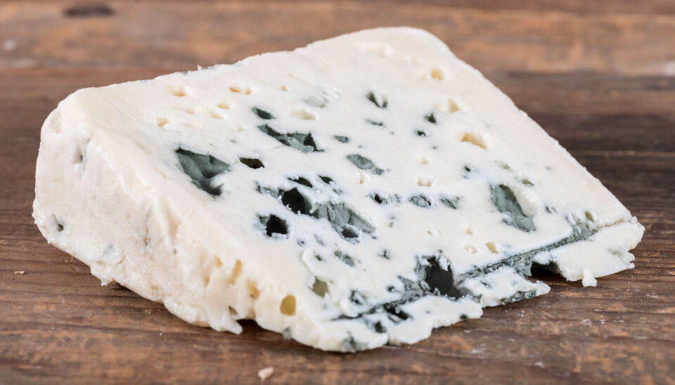 Muggsopp lager skarp smak i kremet ost. Kjent som roquefort, gorgonzola og blåmuggost. Nå kan osten skifte utseende for første gang på 600 år.