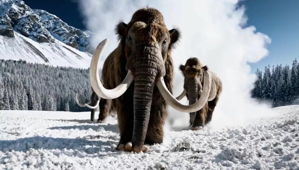 Tre AI-genererte mammuter buldrer gjennom et snølandskap. OpenAIs nye tekst-til-video-verktøy, Sora, skaper glede og frykt over hele verden.