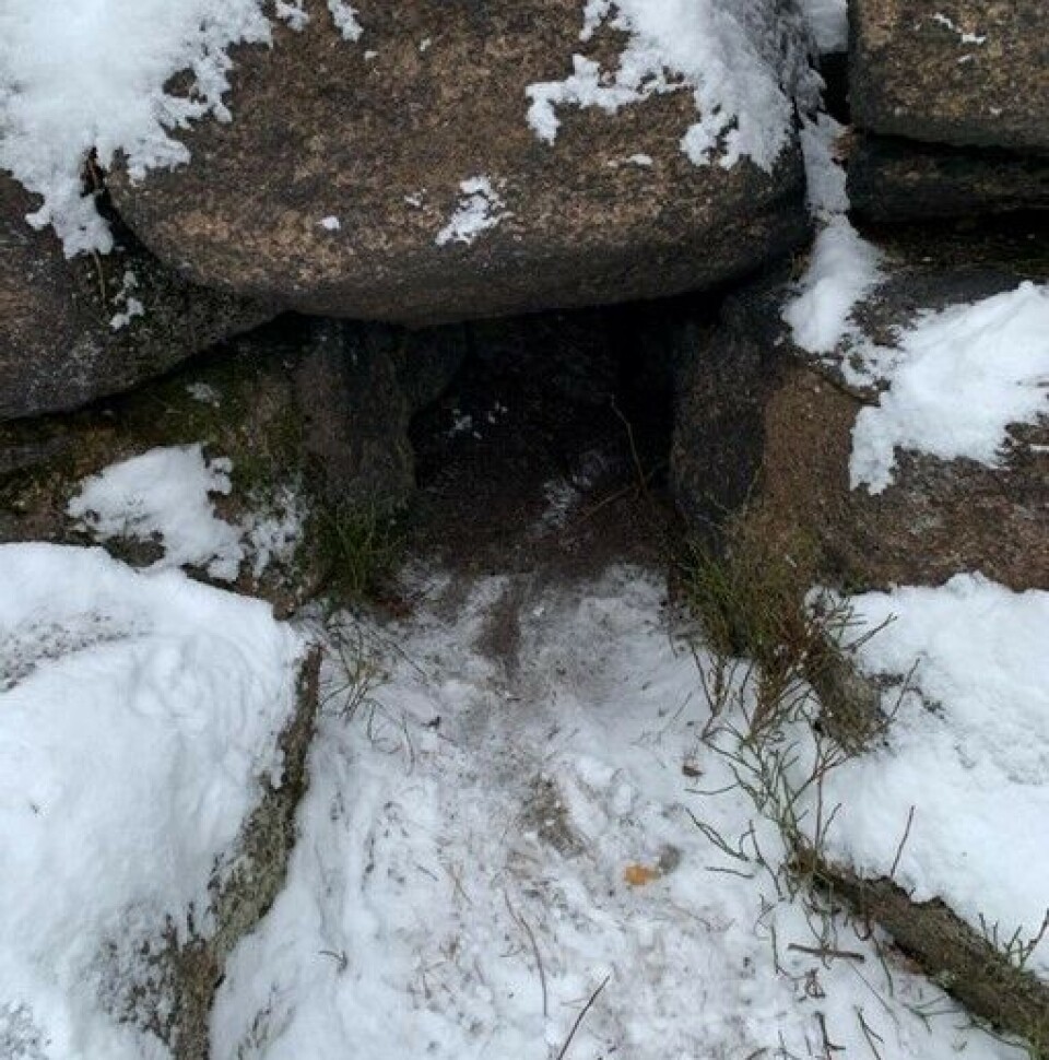 Også naturen i byen stimulerer barna til lek.