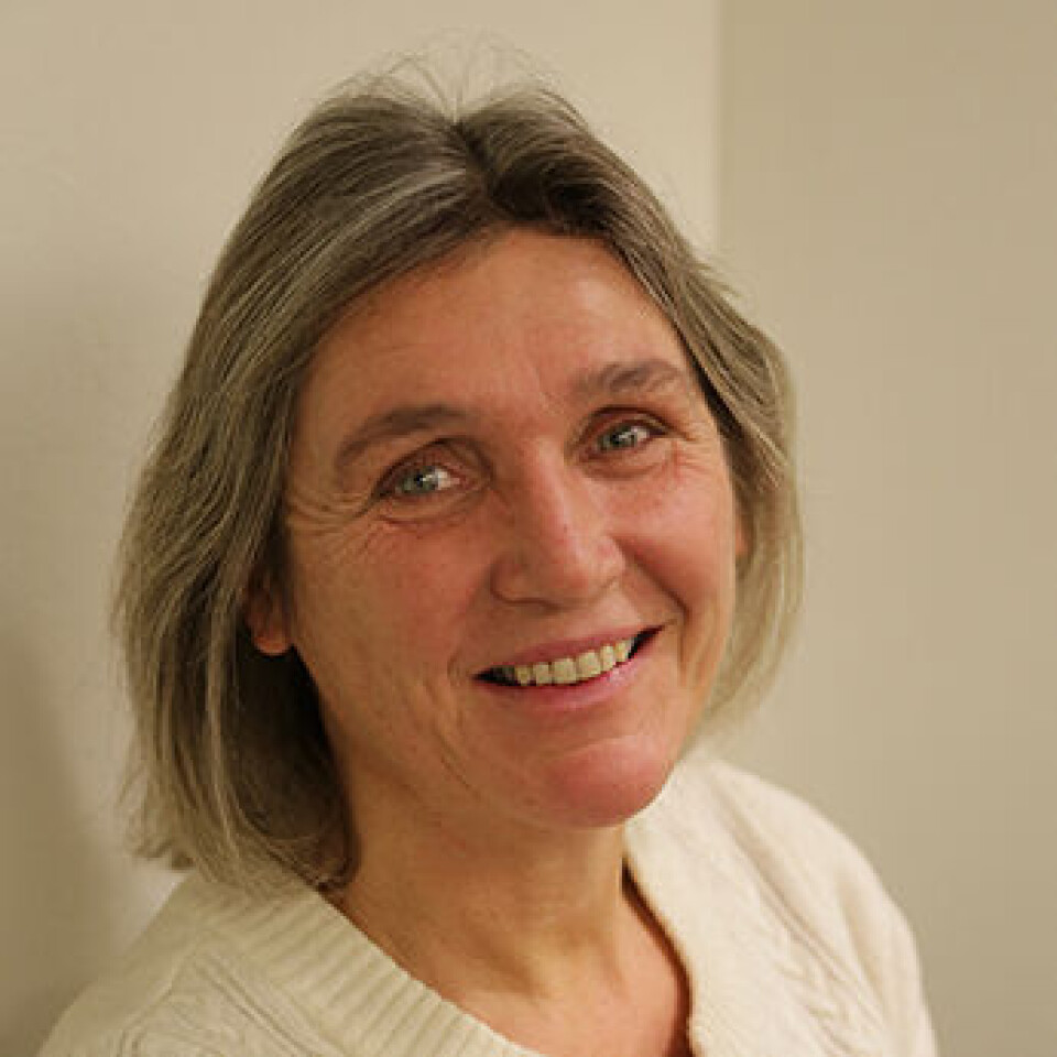 Historiker ved Universitetet i Oslo Hilde Sandvik forsker på kvinnehistorie.