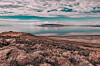 Forskere kjente bare til to arter som klarer seg i Great Salt Lake. Nå ...