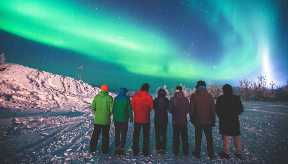 Sju personer med jakker i ulike farger står på rekke med ryggen til, i et vinterlandskap med vakkert grønt nordlys på himmelen.