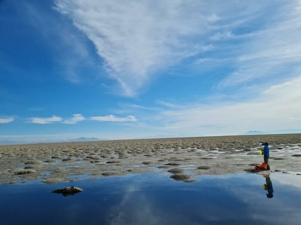 Bilde fra prøvetaking i Great Salt Lake.