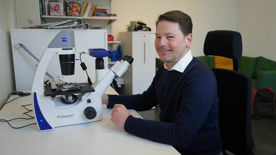 Professor Micah Dunthorn ved mikroskopet på kontoret.