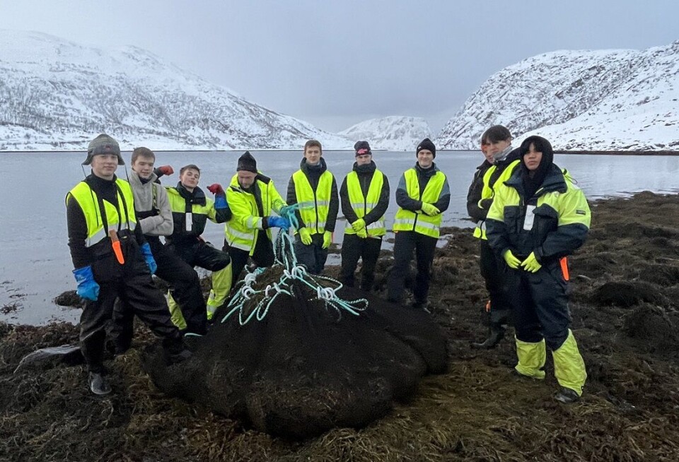 Artificial intelligence makes smarter use of seaweed and kelp