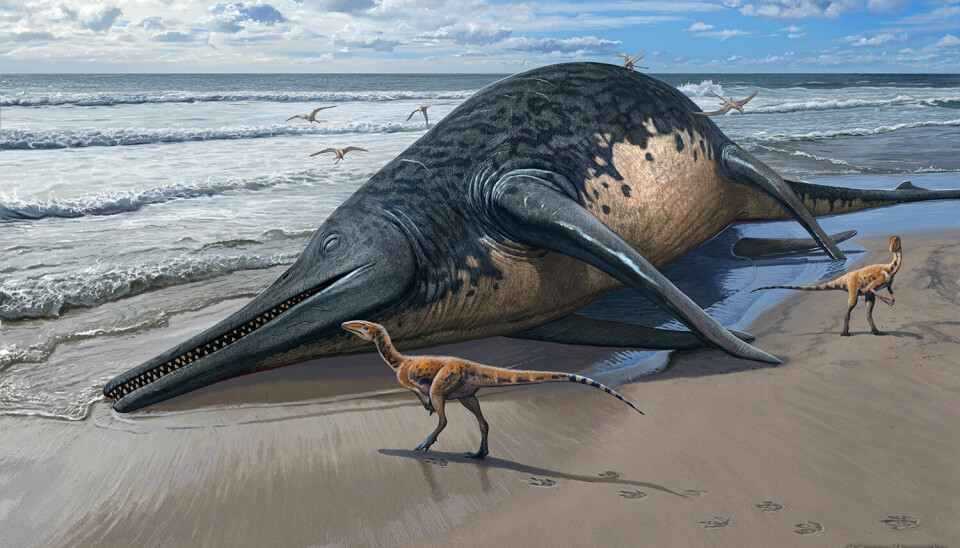 En enorm fiskeøgle er skylt i land på en strand. Kroppen ligner en hval, men øglen har en lang snute og munn med spisse tenner. Ved siden av går to mindre dinosaurer.