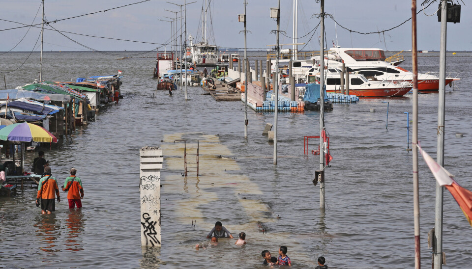 barn leker på oversvømt brygge i jakarta.