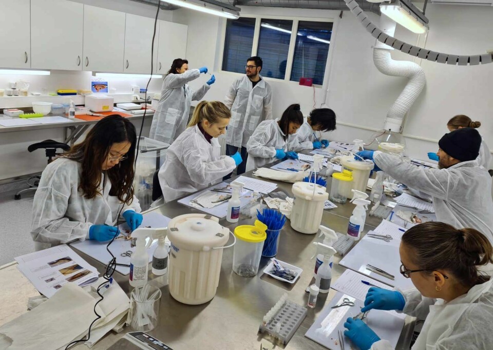 Mange forskere i en lab