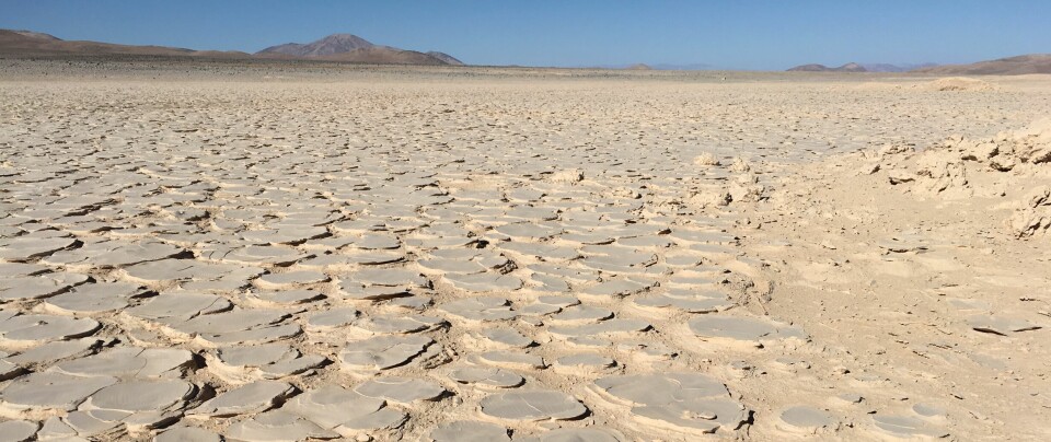 Flatt ørkenområde med oppsprukket overflate.