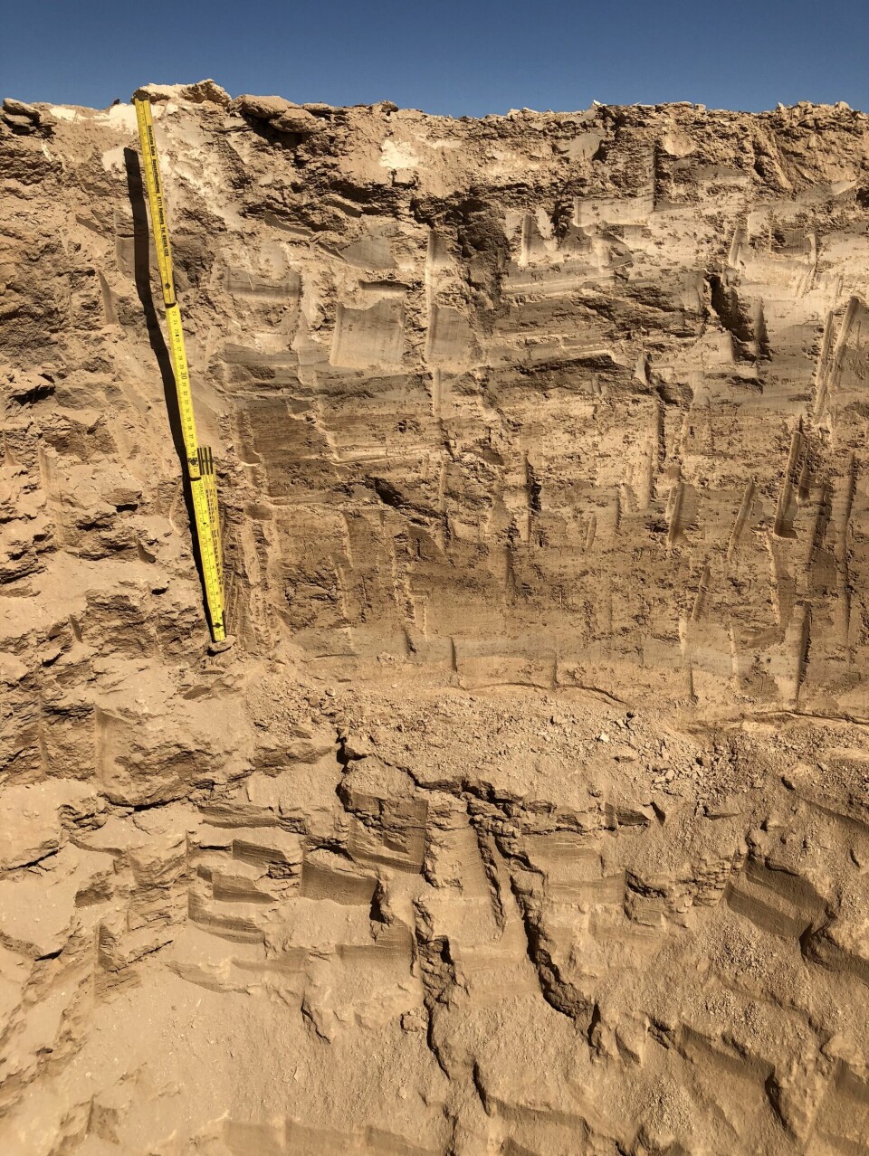 En vegg av sand sett fra innsida av et hull i bakken i ørkenen. En tommestokk står langs den øverste delen av veggen.
