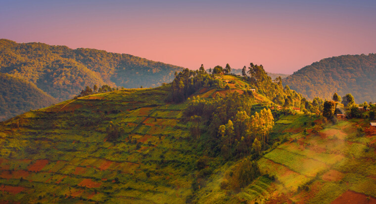 Rwanda er et svært vakkert land. I dag satser landet mye på turisme og mange kommer for å se de berømte fjellgorillaene. Fram til 1962 var Rwanda en koloni under Belgia. Belgierne styrte landet gjennom å dele hutuer og tutsier inn i ulike sosiale klasser. Dette kan være noe av årsaken til de etniske spenningene mellom de to folkegruppene. Bildet viser et vakkert landskap med åsrygger.