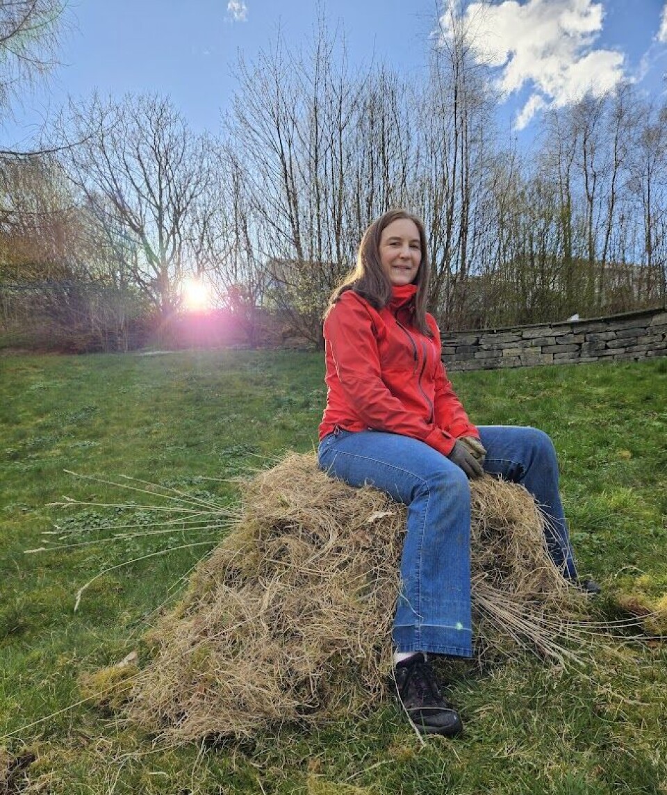 Vibeke Olsen og resultatet av årets ryddejobb. Vibeke Olsen sitter på en haug av gress og mose som er raket vekk fra enga. Olsen har brunt, langt hår og er kledd i rød jakke og blå jeans.