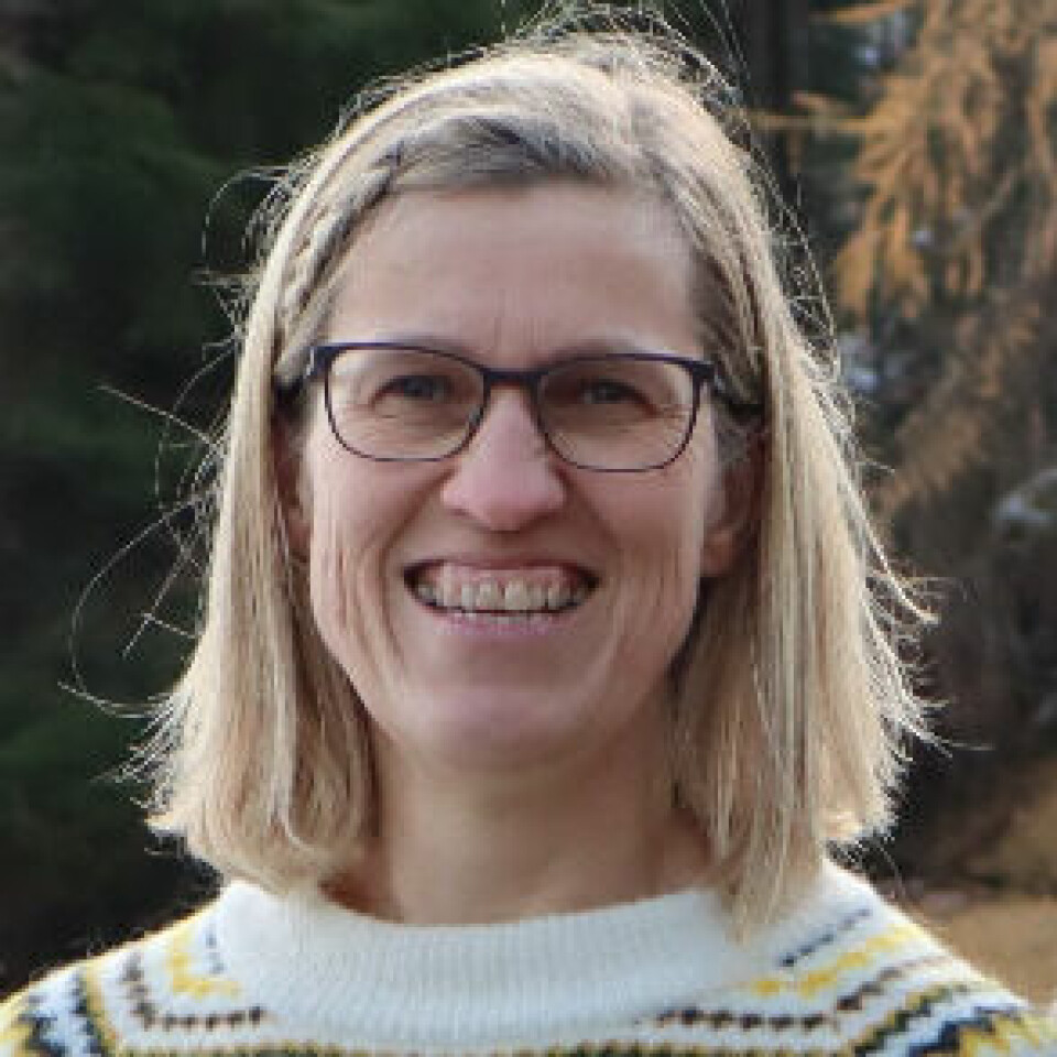 Botaniker og økolog Inger Auestad. Hun har blondt halvlangt hår, briller og mønstret strikkegenser i hvitt, gult og svart.