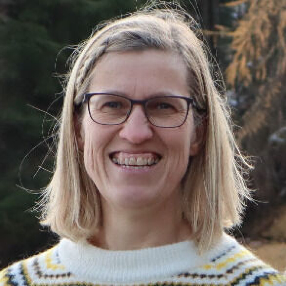 Eng-oppskriften for tørre strøk funket ikke hos Inger Auestad. Botaniker og økolog Inger Auestad. Hun har blondt halvlangt hår, briller og mønstret strikkegenser i hvitt, gult og svart.