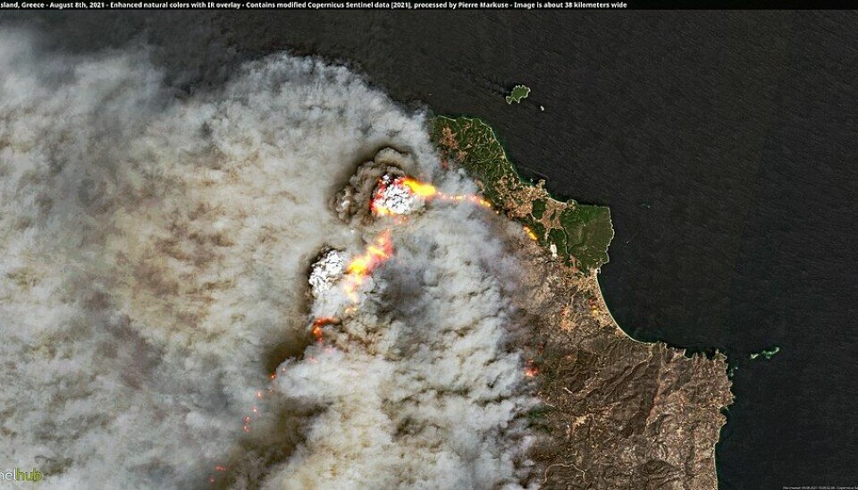 Satellittbilde viser en diger skogbrann. En stripe av oransje flammer strekker seg over landskapet. Store mengder røyt sprer seg fra brannen.