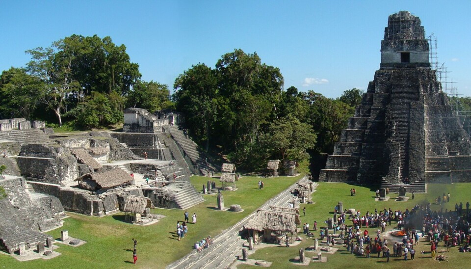 Dette er Tikal i Guatemala, de mest kjente mayabyggene i Guatemala