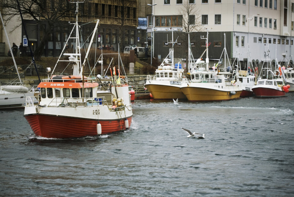 Fiskebåter i Ålesund