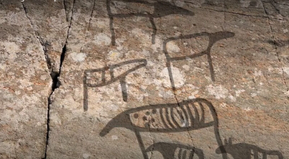 En tilfeldig snarvei førte til sensasjonelt funn av 6–7.000 år gammel kunst