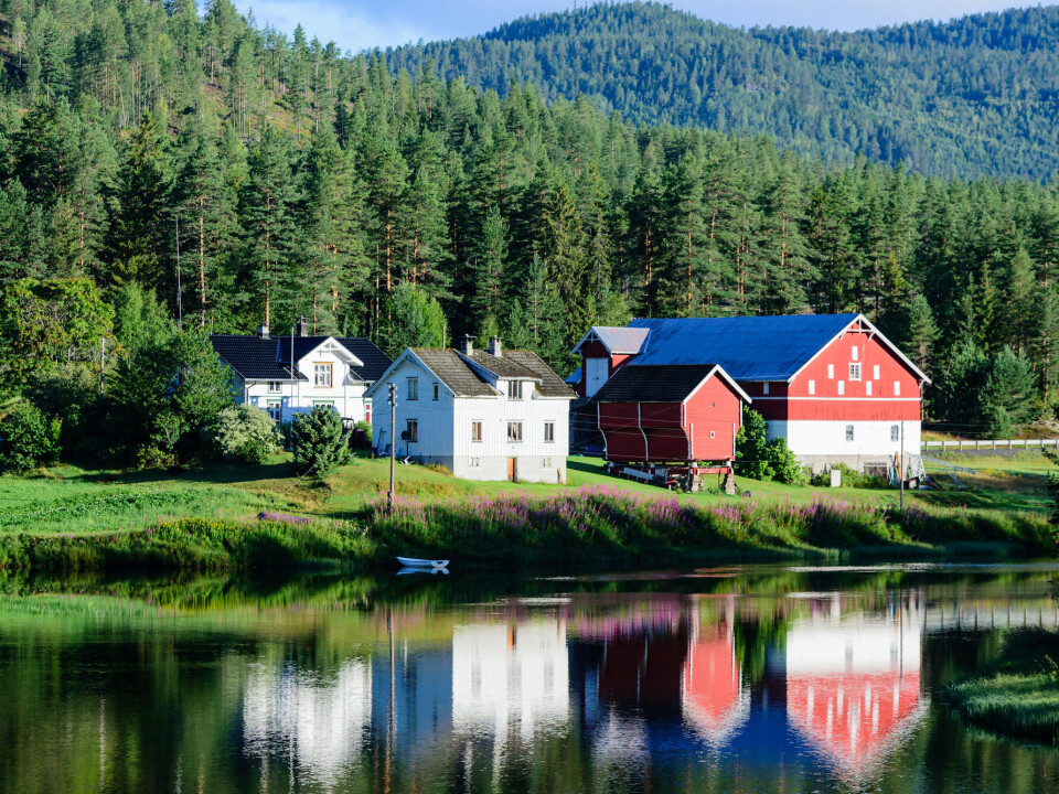 Derfor er jorda i nord verdens beste CO2-lager