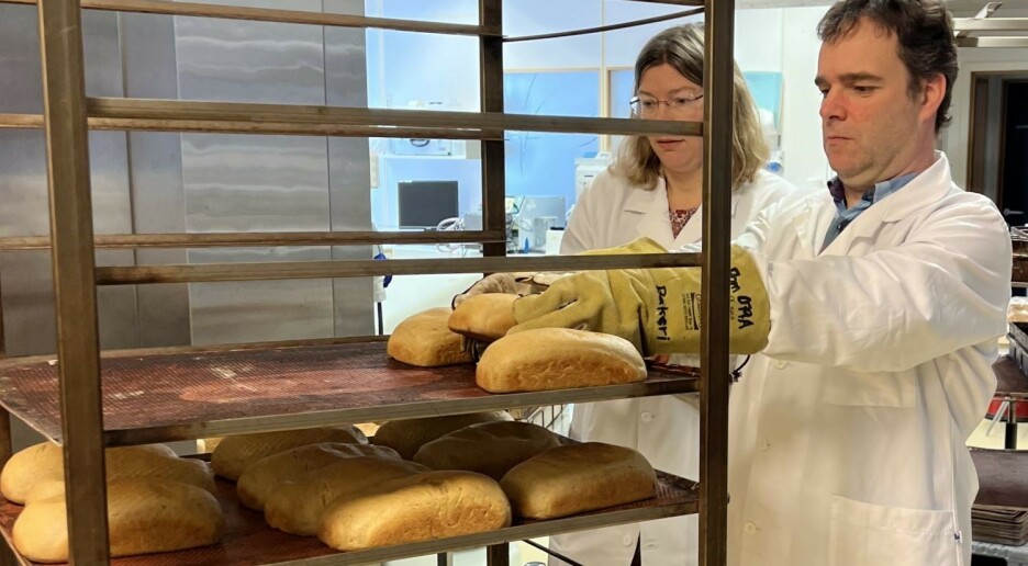 Forskere har utviklet et brød som kan forebygge diabetes og hjerte-karsykdommer