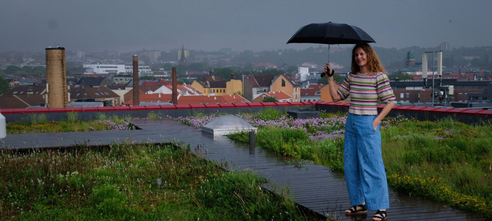 – Takene våre kan funke som svamper, sier forsker