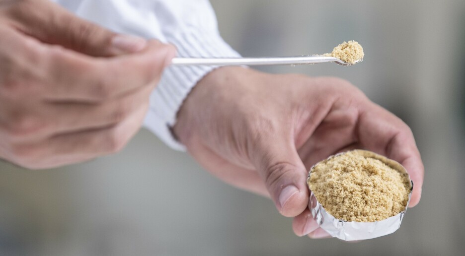 Laksespisere må godta alger og insektmel i oppdrettsfôr