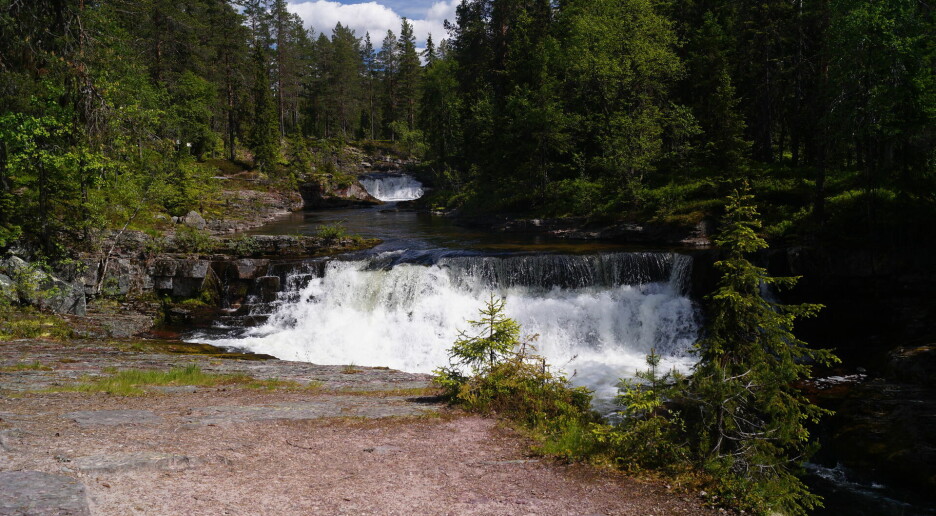 Hvordan bestemmer ekspertene hva som er verneverdig natur?