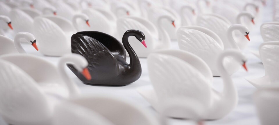 Navnet på TV-serien «Den sorte svane» har en spesiell betydning