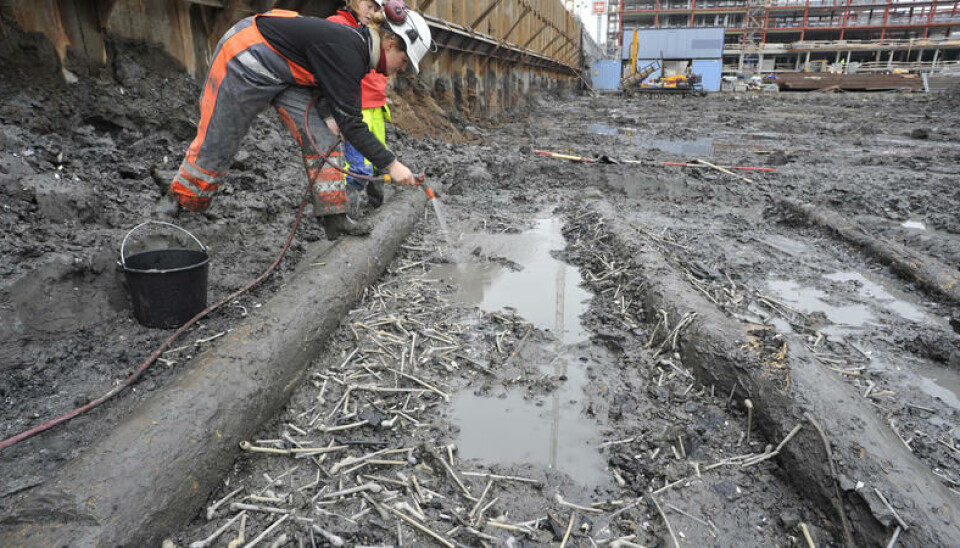 I Bjørvika i Oslo fant Norsk Maritimt Museum mer enn 1100 krittpiper som har stått lagret på en brygge som brant i den store bybrannen i 1624. Funnet viser til den voksende etterspørsel for tobakk i datidens Norge.